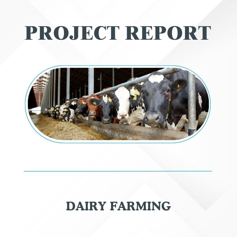 Dairy farming Project Report