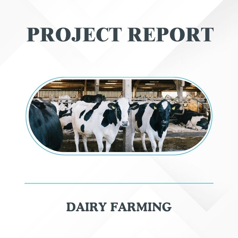 Dairy farming Project Report for 5 Cows / Buffaloes