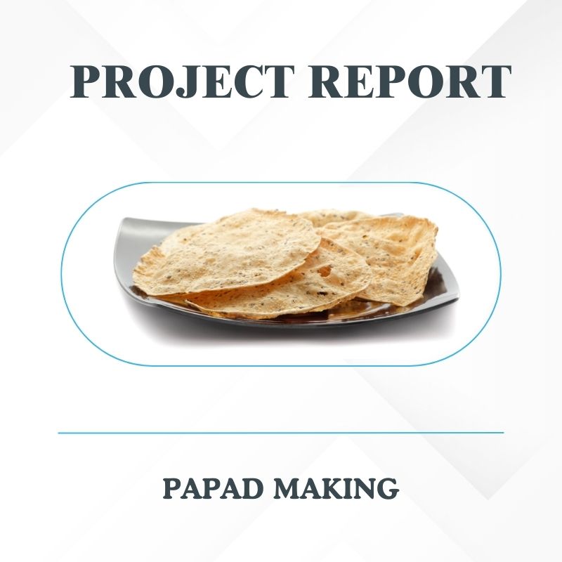 Papad Manufacturing Project Report